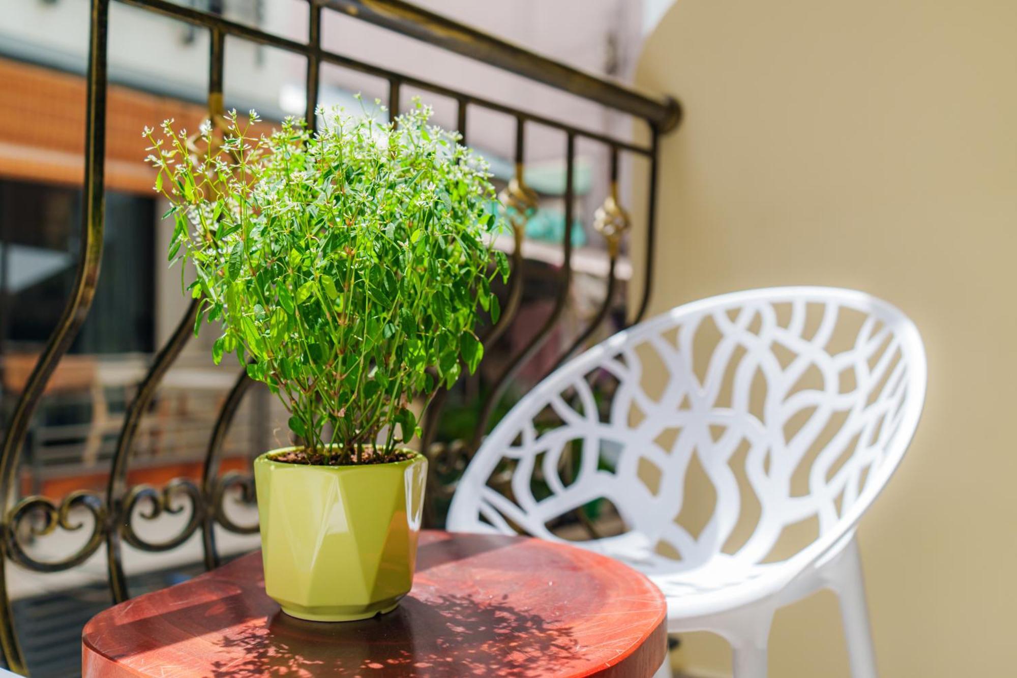 Co Chau Homestay Ciudad Ho Chi Minh  Exterior foto